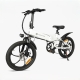 ZM2009 20inch Shimano 7-Speed Shifts E-Bike